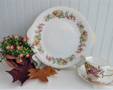 Royal Standard Lyndale Cake Serving Plate Tan Coral Leaves Berries 1950s