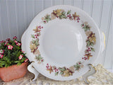 Royal Standard Lyndale Cake Serving Plate Tan Coral Leaves Berries 1950s