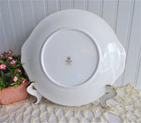 Royal Standard Lyndale Cake Serving Plate Tan Coral Leaves Berries 1950s