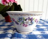Royal Tara Ireland Sugar Basin Bowl Blue Pink Flower Bouquets 1950s Irish Bone China