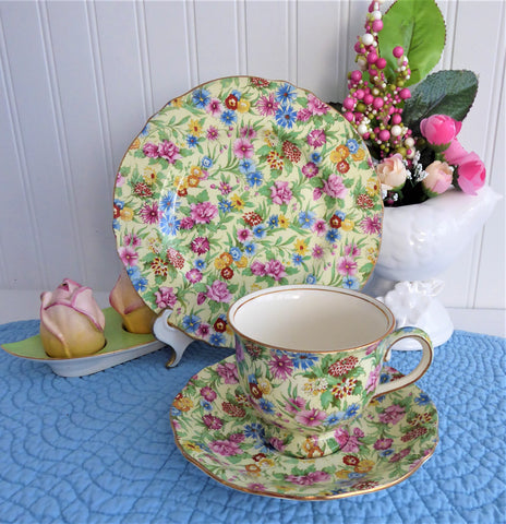 Kew Chintz Teacup Trio Royal Winton Grimwades England 1950s