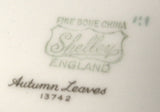Shelley England Platter Sandwich Plate Autumn Leaves Aqua Cake 1940s