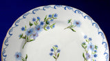 Plate Shelley China England Blue Rock 6 Inch Cake Plate Side Plate 1950s Tea Plate