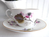 Shelley England Cup and Saucer Bramble Blackberries Bute Shape 1950s