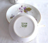 Shelley England Cup and Saucer Bramble Blackberries Bute Shape 1950s