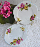 Shelley Dainty Begonia Pair Of Bread Plates 6 Inch Side Tea Plates 1950s Bone China