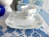 Shelley China Dainty Blue Rock Cup and Plate Snack Set Buffet Tennis Tea And Toast England