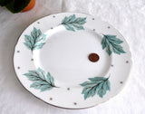 Shelley Luncheon Plate Drifting Leaves 8 Inches Gainsborough Shape 1950s Aqua Leaves