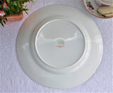 Shelley Dinner Plate Drifting Leaves 10.25 Inch 1950s Aqua Leaves Platinum Trim