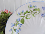 Shelley China Harebell Oleander Bread Plate 6 Inch Cake Plate Side Plate 1950s Tea Plate