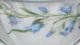 Shelley Breakfast Cup And Saucer With Plate Harebell Low Oleander Shape Blue Trim