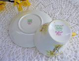 Shelley Daffodil Time Cup and Saucer 1950s Sunny Yellow Gold Trim New Cambridge