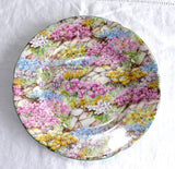 Rock Garden Chintz Shelley China England Plate Cake 6 Inch Plate Side Plate 1950s
