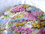 Rock Garden Chintz Shelley China England Plate Cake 6 Inch Plate Side Plate 1950s