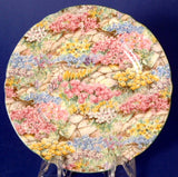 Rock Garden Chintz Shelley China England Plate Cake 6 Inch Plate Side Plate 1950s