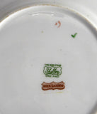 Rock Garden Chintz Shelley China England Plate Cake 6 Inch Plate Side Plate 1950s