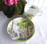 Shelley Woodland Cup and Saucer Cambridge Shape Landscape Teacup 1950s