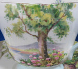 Shelley Cup and Saucer Woodland Richmond Shape Landscape 1950s