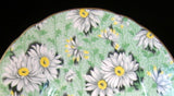 Shelley Cup and Saucer Green Daisy Chintz Ripon Shape England Teacups