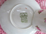 Cup And Saucer Shelley China Tall Dainty Rosebud Demitasse 1950s Coffee