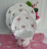 Shelley Dainty Bridal Rose Teacup Trio Cup And Saucer Matching Plate 1950s