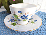 Woodland Violets Queen Anne English Bone China Cup And Saucer 1950s