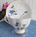 Woodland Violets Queen Anne English Bone China Cup And Saucer 1950s