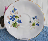 Woodland Violets Queen Anne English Bone China Cup And Saucer 1950s