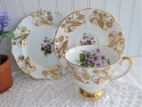 Spring Violets Teacup Trio Cup And Saucer With Plate Windsor 1950s Gold Overlay