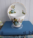 Bronze Roses 1960s Cup And Saucer Pink Green Blue Leaves Royal Ascot English Bone China