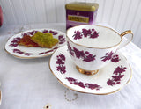 Teacup Trio Purple Ivy Grape Leaves English Bone China Clare Vintage 1950s