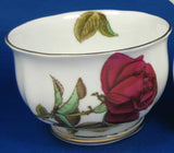 Cream And Sugar English Rose Royal Standard Hand Colored 1950s Creamer