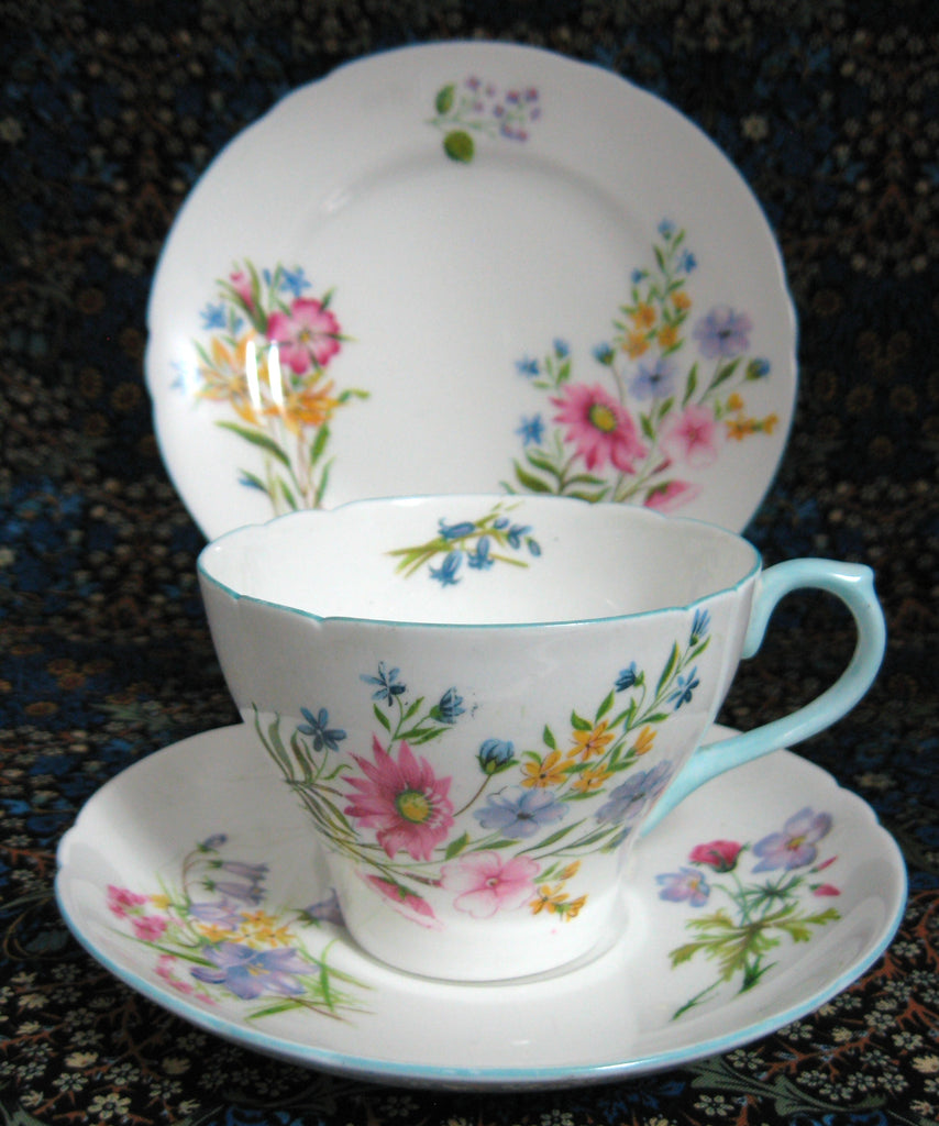 Shelley Teacup Trio Cambridge Shape Wild Flowers Cup And Saucer And Pl