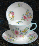Shelley Teacup Trio Cambridge Shape Wild Flowers Cup And Saucer And Plate Blue Trim