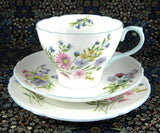 Shelley Teacup Trio Cambridge Shape Wild Flowers Cup And Saucer And Plate Blue Trim
