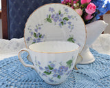 Adderleys Blue Forget Me Not Cup And Saucer 1950s English Bone China