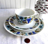 Retro Teacup Trio Nuts Arzberg Bavaria 1960s Mid Century Modern