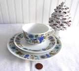 Retro Teacup Trio Nuts Arzberg Bavaria 1960s Mid Century Modern