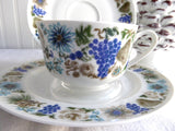 Retro Teacup Trio Nuts Arzberg Bavaria 1960s Mid Century Modern