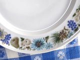 Retro Teacup Trio Nuts Arzberg Bavaria 1960s Mid Century Modern