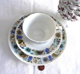 Retro Teacup Trio Nuts Arzberg Bavaria 1960s Mid Century Modern