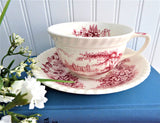 Cup And Saucer Castle On The Lake Pink Red Transferware Johnson Brothers UK 1960s