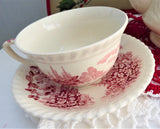 Cup And Saucer Castle On The Lake Pink Red Transferware Johnson Brothers UK 1960s