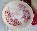 Cup And Saucer Castle On The Lake Pink Red Transferware Johnson Brothers UK 1960s
