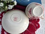 Cup And Saucer Castle On The Lake Pink Red Transferware Johnson Brothers UK 1960s