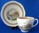 Mallards Duck Cup And Saucer English Wild Life Birds 1960s Transferware