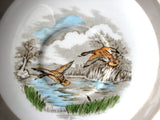 Mallards Duck Cup And Saucer English Wild Life Birds 1960s Transferware