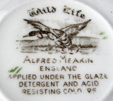 Mallards Duck Cup And Saucer English Wild Life Birds 1960s Transferware