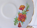 Regency Orange Poppies Cup And Saucer English Bone China 1960s