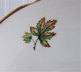 Regency Orange Poppies Cup And Saucer English Bone China 1960s